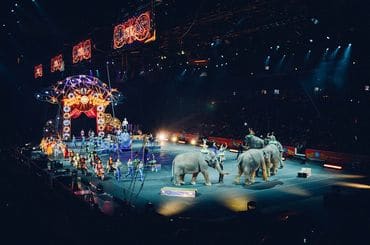 These Are Some of the Most Horrifying Circus Accidents in History